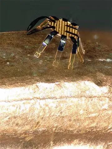 全球最小的遙控行走機(jī)器人誕生，用激光實(shí)現(xiàn)精準(zhǔn)運(yùn)動控制